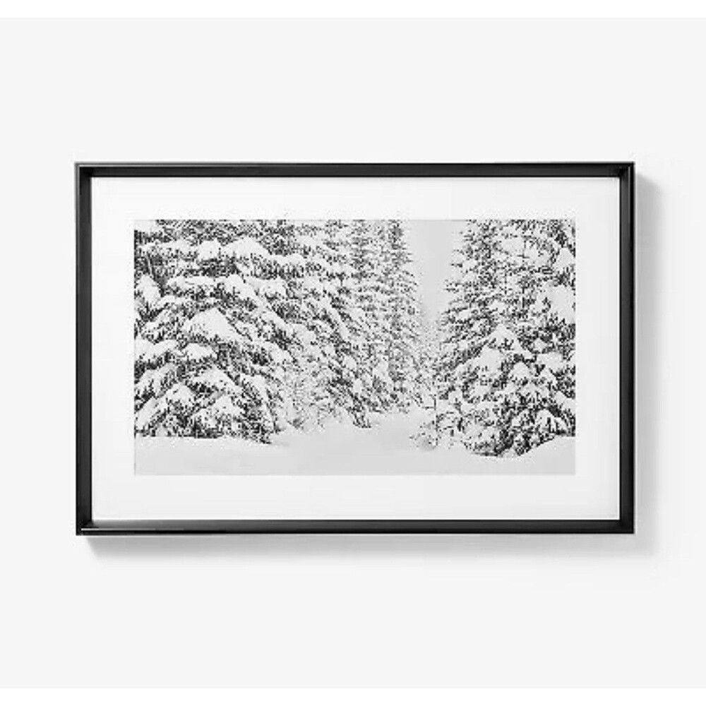 30”x20” Winter Tree Scene Framed Wall Art Print Threshold Studio McGee NEW